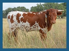 Twc the Price x Mr. Right